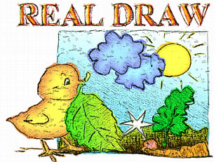 Real-Draw PRO