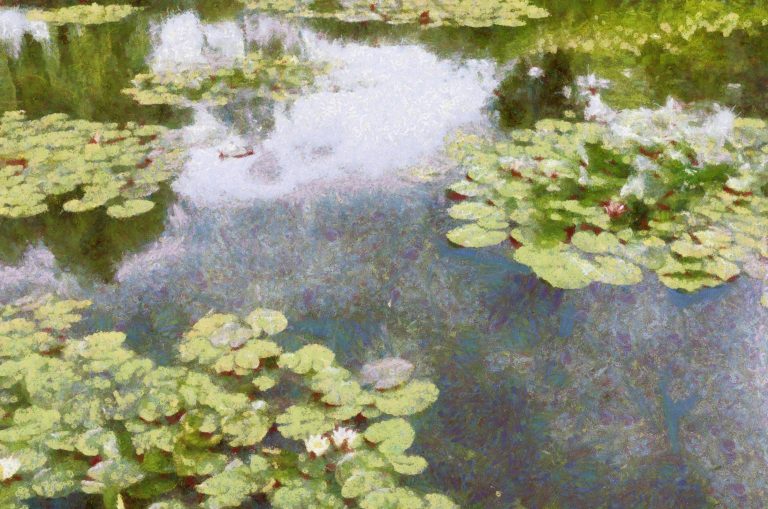 Monet (Lily Pond HD)
