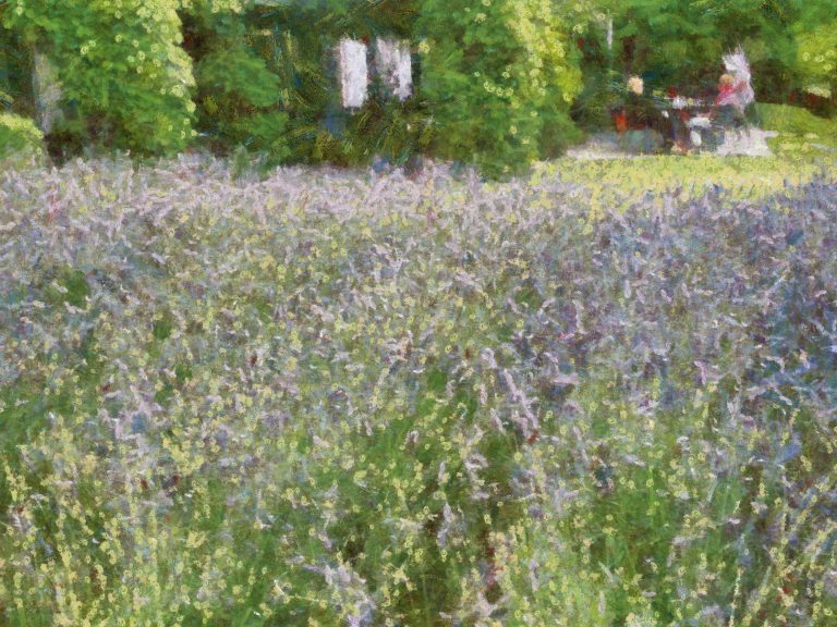 Monet, Sorolla (Lily Pond HD)