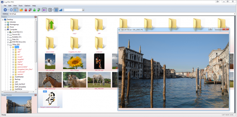 Internal Picture and Thumbnail Viewer for Encrypted Files